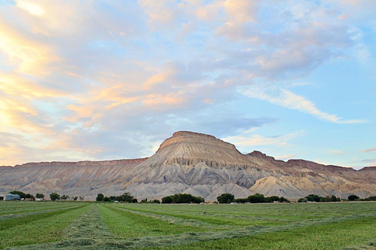 Holiday Inn Express Hotel & Suites Grand Junction By Ihg Exteriör bild